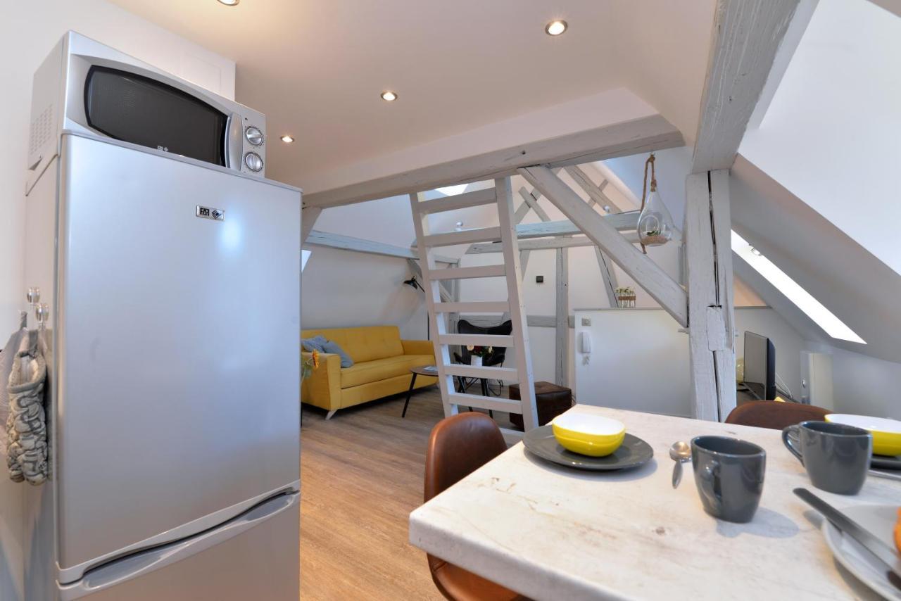 Appartement La Petite Terrasse Sur Les Toits Colmar Exterior foto